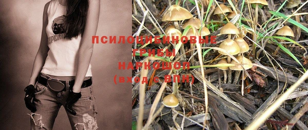 винт Белокуриха