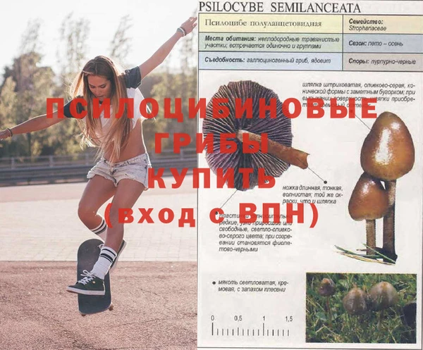 a pvp Беломорск