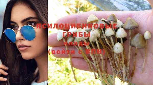 винт Белокуриха
