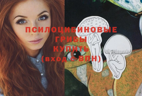 винт Белокуриха