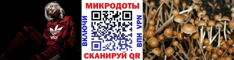 гидра маркетплейс  Каменск-Уральский  Псилоцибиновые грибы Magic Shrooms  как найти наркотики 